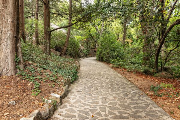 Stone Walkway Repair in Mason