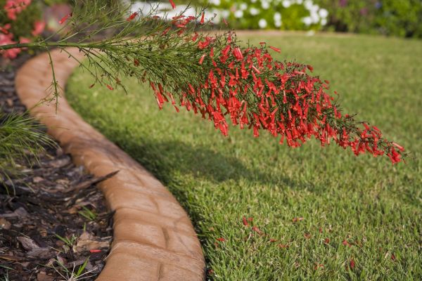 Brick Edging in Mason