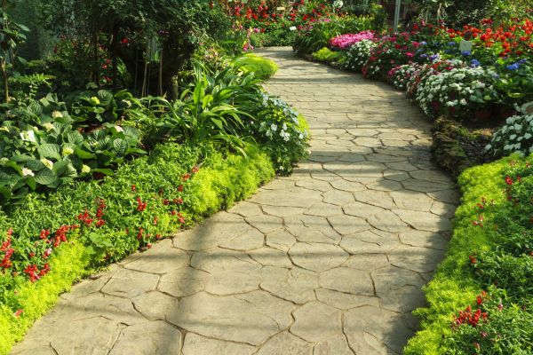 Stone Pathway Repair in Mason