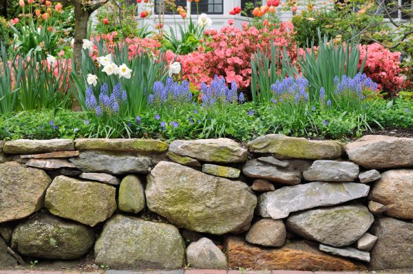 Stone Wall Hardscaping in Mason