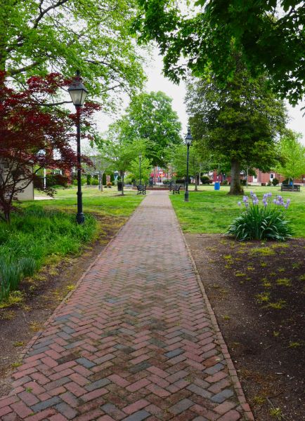 Brick Pathway Repair in Mason