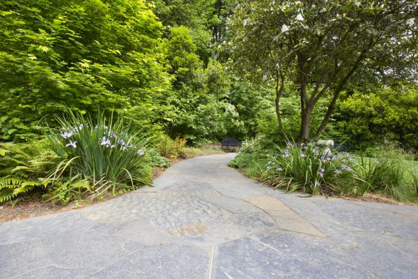 Stone Hardscape Service in Mason