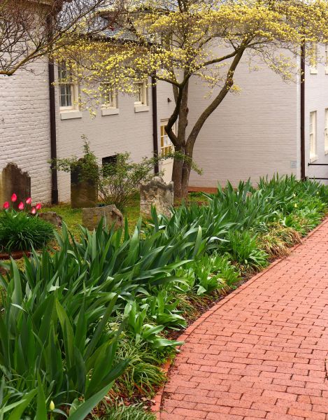 Brick Flatwork Repair in Mason